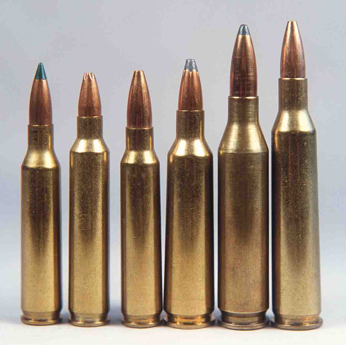 Dick has used numerous varmint cartridges, but his favorites include (left to right): .20 Tactical, .204 Ruger, .223 Remington, .22-250 Remington, .243 Winchester and .220 Swift.